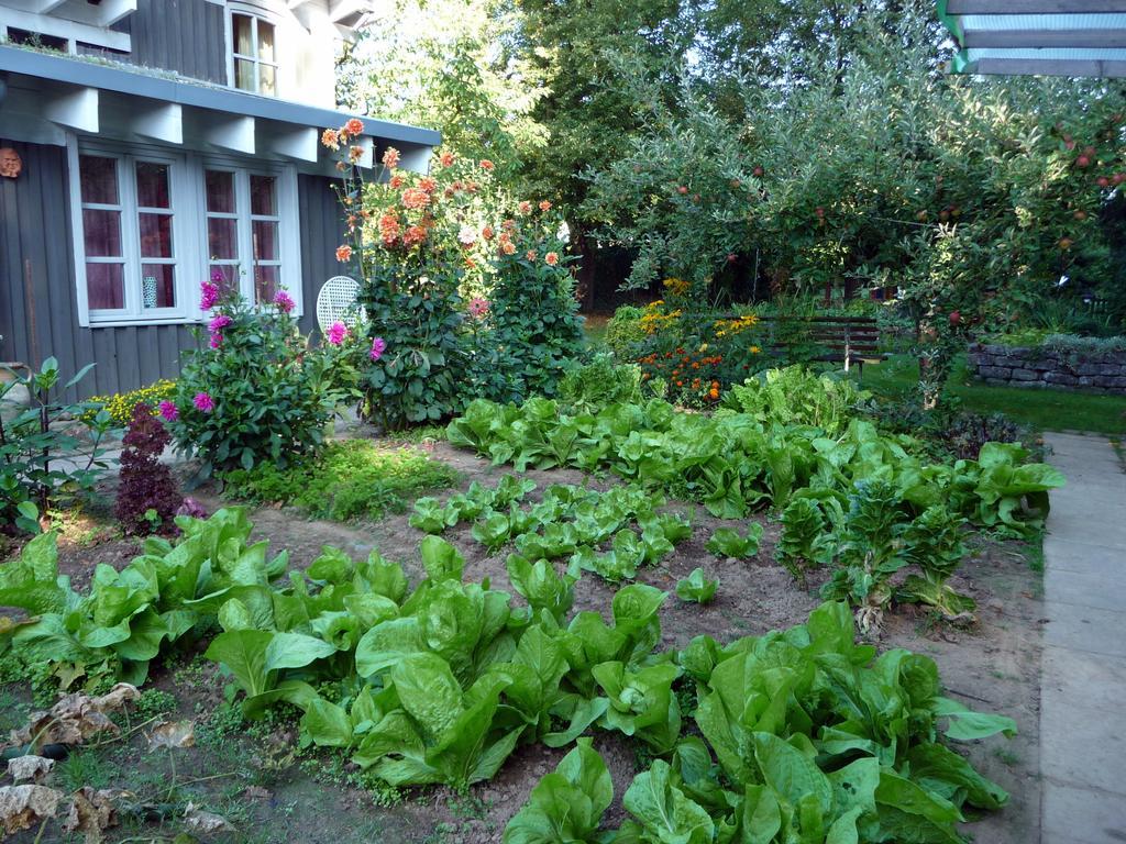 Ferienhaus Gartenlust Dierdorf Δωμάτιο φωτογραφία